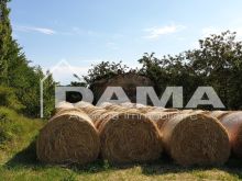 podere villa _ CASOLARE PANORAMICO DA RISTRUTTURARE – MONTE MIRABELLO, PREDAPPIO  (3)