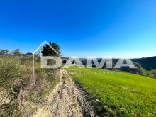 podere villa _ CASOLARE PANORAMICO DA RISTRUTTURARE – MONTE MIRABELLO, PREDAPPIO  (8)