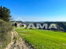 podere villa _ CASOLARE PANORAMICO DA RISTRUTTURARE – MONTE MIRABELLO, PREDAPPIO  (10)