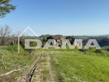 podere villa _ CASOLARE PANORAMICO DA RISTRUTTURARE – MONTE MIRABELLO, PREDAPPIO  (25)