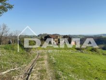 podere villa _ CASOLARE PANORAMICO DA RISTRUTTURARE – MONTE MIRABELLO, PREDAPPIO  (26)