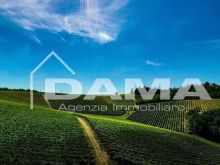 Podere agricolo con vigneto in produzione tra Forlì e Faenza, zona collinare dei Sabbioni 1