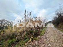 Bertinoro-Fabbricato abitativo con terreno agricolo 11