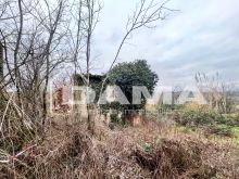 Bertinoro-Fabbricato abitativo con terreno agricolo 12