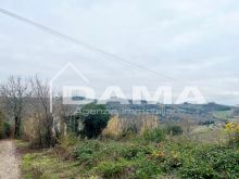 Bertinoro-Fabbricato abitativo con terreno agricolo 17
