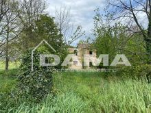 Prestigioso Rustico a Vecchiazzano con Parco Secolare e Potenziale Plurifamiliare 02