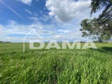 Prestigioso Rustico a Vecchiazzano con Parco Secolare e Potenziale Plurifamiliare 14