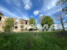 Prestigioso Rustico a Vecchiazzano con Parco Secolare e Potenziale Plurifamiliare 23