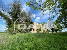 Prestigioso Rustico a Vecchiazzano con Parco Secolare e Potenziale Plurifamiliare 25