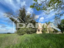 Prestigioso Rustico a Vecchiazzano con Parco Secolare e Potenziale Plurifamiliare 26