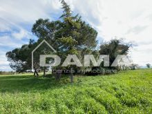 Prestigioso Rustico a Vecchiazzano con Parco Secolare e Potenziale Plurifamiliare 32