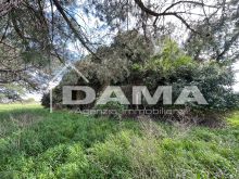 Prestigioso Rustico a Vecchiazzano con Parco Secolare e Potenziale Plurifamiliare 34