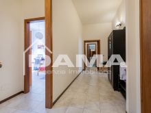 FORLÌ – CENTRO STORICO, ADIACENZE PIAZZA SAFFI34
