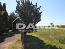 Villafranca _ splendida casa immersa nel verde della campagna 30