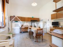 Casa Indipendente con Ampio Parco e Capannone a Villanova 19