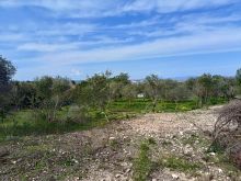 WhatsApp Image 2026-04-03 at 11 45 28 (1)