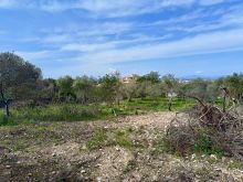 WhatsApp Image 2026-04-03 at 11 45 28 (2)