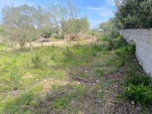 WhatsApp Image 2026-04-03 at 11 45 28