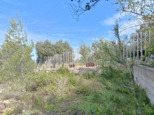 WhatsApp Image 2026-04-03 at 11 45 29