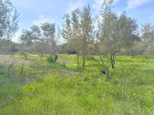 WhatsApp Image 2026-04-03 at 11 45 33 (1)