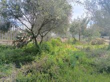 WhatsApp Image 2026-04-03 at 11 45 33 (2)