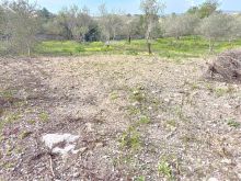 WhatsApp Image 2026-04-03 at 11 45 33