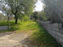 WhatsApp Image 2026-04-03 at 11 45 34 (1)