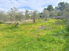 WhatsApp Image 2026-04-03 at 11 45 34