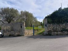 WhatsApp Image 2026-04-03 at 11 45 35