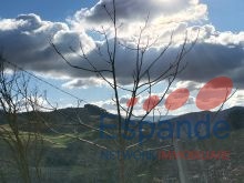 IMG_20231216_124536