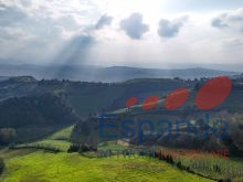16_Via Paderno 140 Bertinoro Collinello