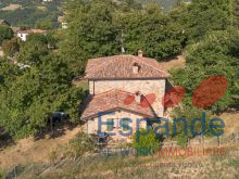 esterno