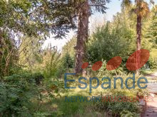 Esterno