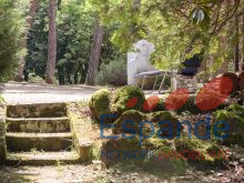 senza titolo (12 di 75) - Copia