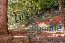 Esterno