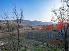 30_Piazza Giuseppe Garibaldi 4 Terra del Sole