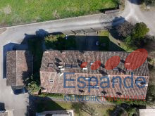 dji_fly_20260224_113152_0209_1771930648472_photo_beautify