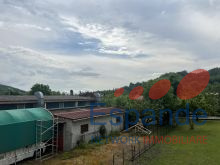 IMG_1438
