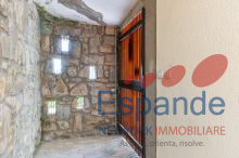ingresso