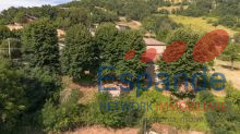 DJI_0900
