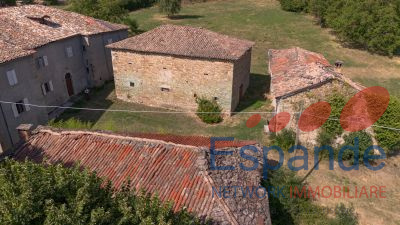 DJI_0903