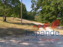 20260724-DJI_0948