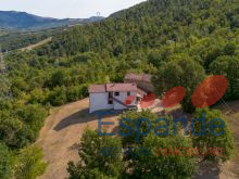 20260724-DJI_0946