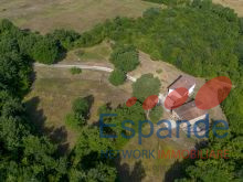 20260724-DJI_0944