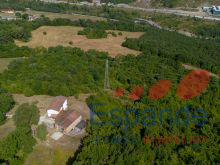 20260724-DJI_0943