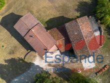 20260724-DJI_0942