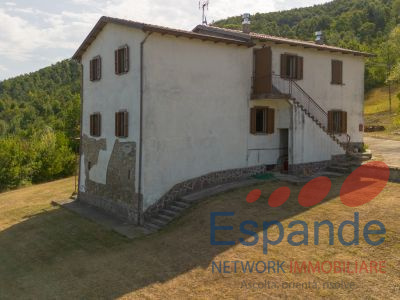 20260724-DJI_0951