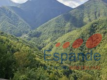 IMG-20260907-WA0015 (2)