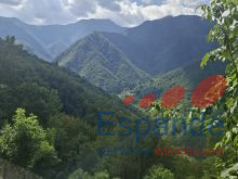 IMG-20260907-WA0032