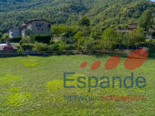 20260913-DJI_0969